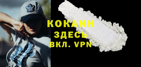 стафф Арсеньев