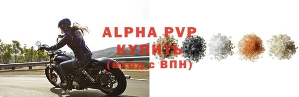 стафф Арсеньев